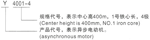 西安泰富西玛Y系列(H355-1000)高压YKS5603-2/2240KW三相异步电机型号说明