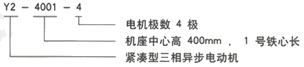 YR系列(H355-1000)高压YKS5603-2/2240KW三相异步电机西安西玛电机型号说明